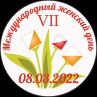 VII Традиционные соревнования, посвященные Международному Женскому Дню VII Традиционные соревнования, посвященные Международному Женскому Дню